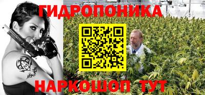 прущие крисы Бийск