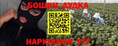 прущие крисы Бийск