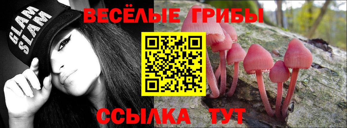 Псилоцибиновые грибы GOLDEN TEACHER  Вход с VPN  Волжский 
