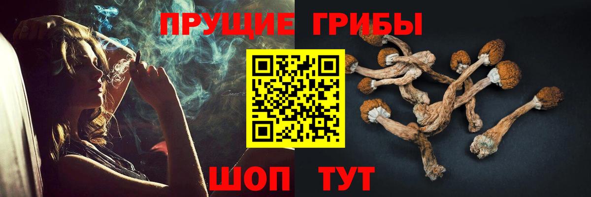 Псилоцибиновые грибы Psilocybine cubensis Волжский